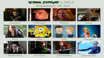 My 2012 Character summary Calender Meme by Normanjokerwise