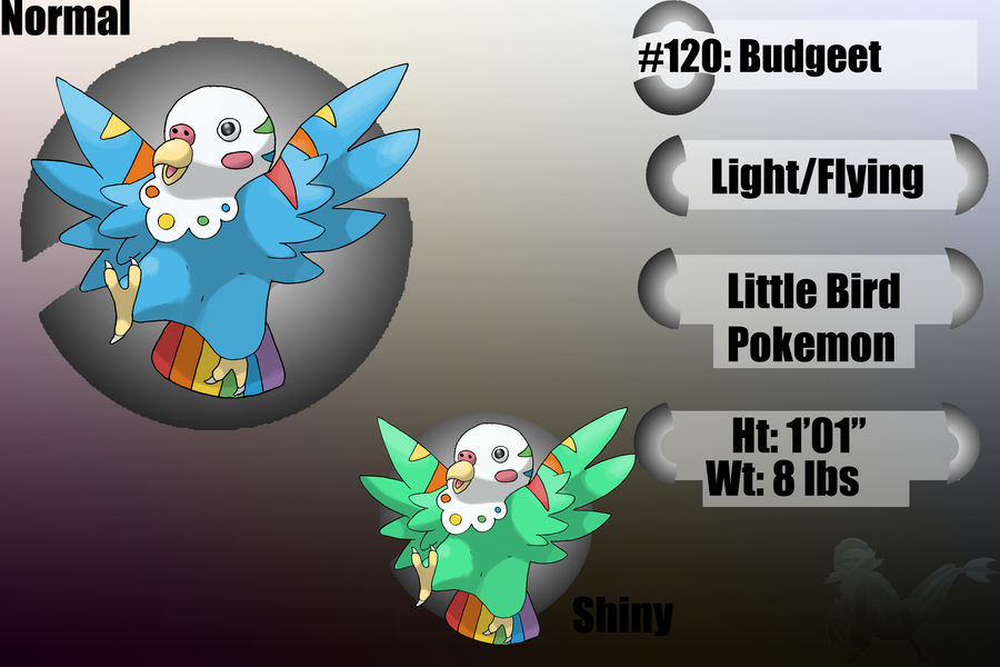 120 Budgeet