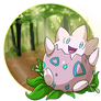 PKMNation: April Trail Header