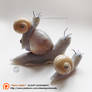 : snail family SCULPT GIVEAWAY! :