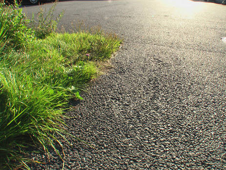 asphalt and grass