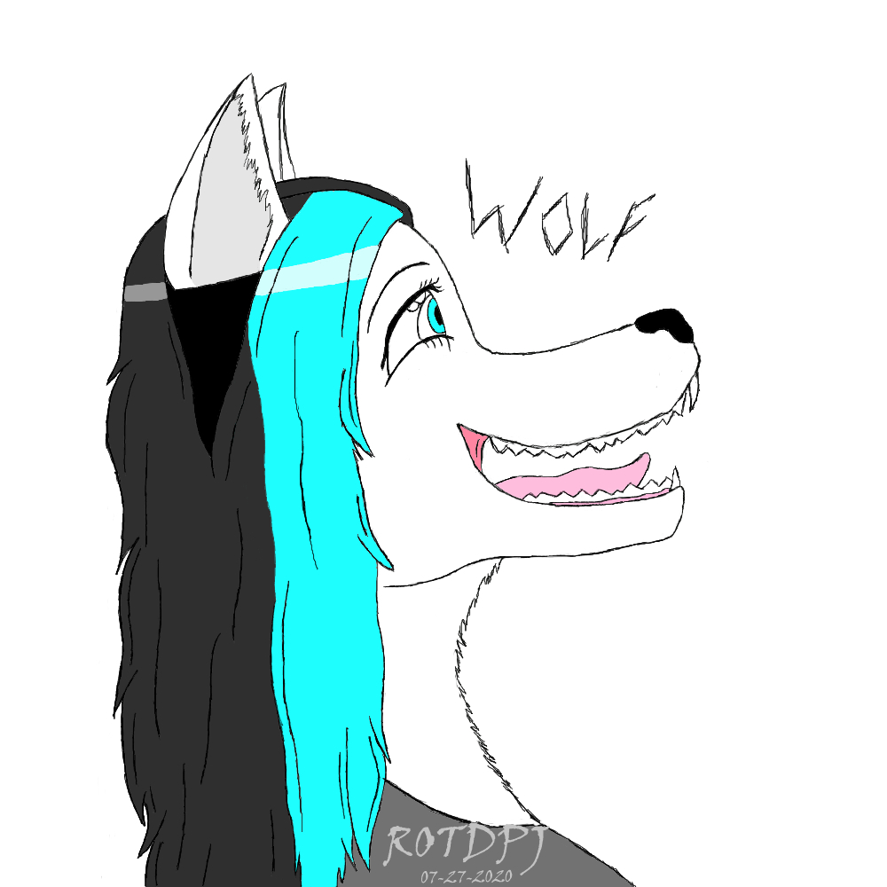 Wolf PFP by ROTDPJ on DeviantArt
