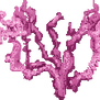 Pixel Art Coral Sprite