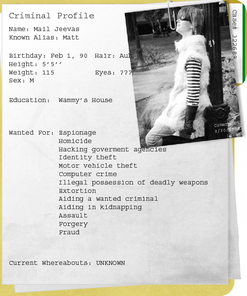 Criminal Profile Template Criminal Profile Template