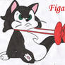 Figaro