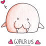 Walrus