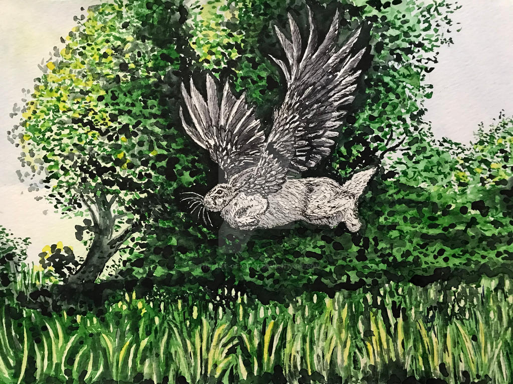 Flying Rabbit Deviantart Flying Bunny by The-Art-of-Gray on DeviantArt