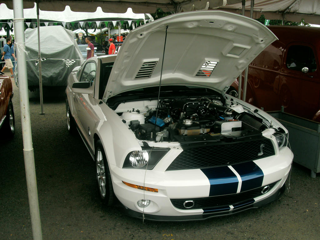 Ford Shelby GT500