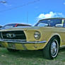 67' Ford Mustang Convertible