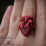 Human Heart ring from polymer clay
