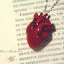 New one realistic heart from polymer clay.