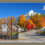 Jericho Vt Town 2020-10-17 004