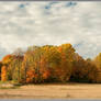 Ferrisburgh Vt Foliage 2022-10-19 191sm