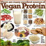 Vegan Sources Of Nutrients 001