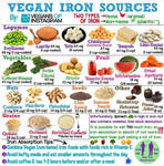 Vegan Sources Of Nutrients 002 by veganshareStock