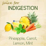 VEGAN Juice for 008 by veganshareStock