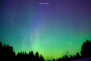 Wish for the stars by Floreina-Photography Wish for the stars by Floreina-Photography