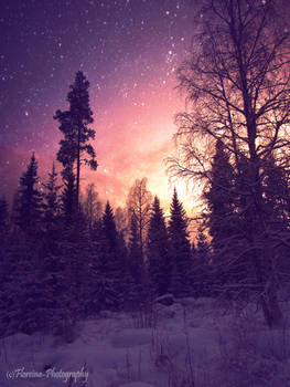 Night of snow and stars