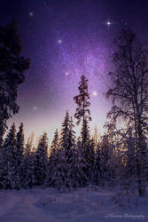 Snow under the stars
