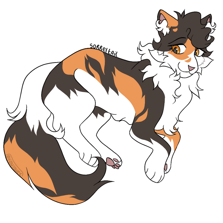 Sorelltail Sorreltail by 0xxFoxflowerxx0 on DeviantArt