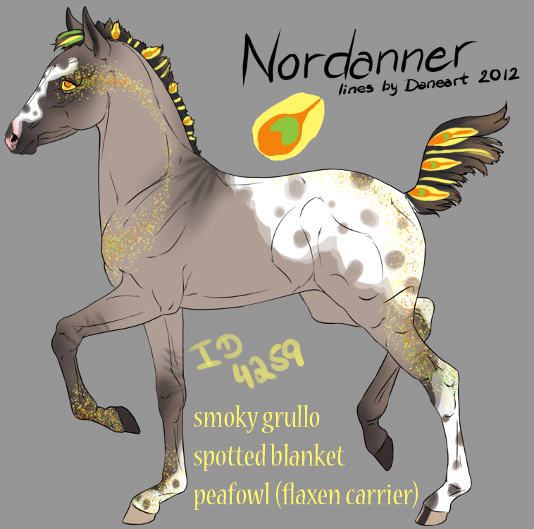 4259 Nordanner foal -designholder-