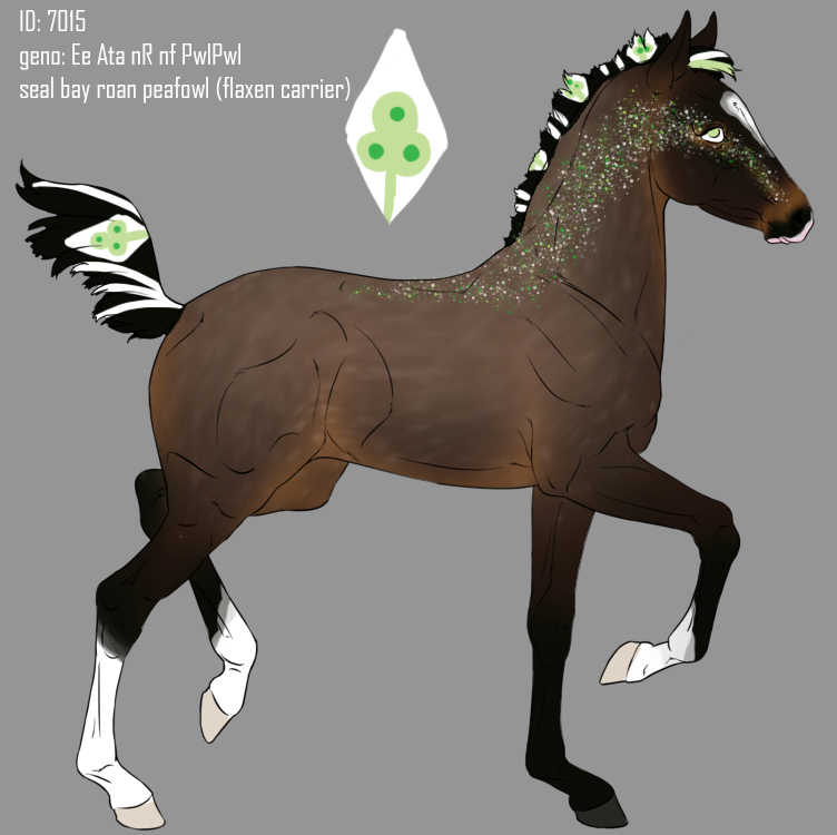 7015 Nordanner foal design