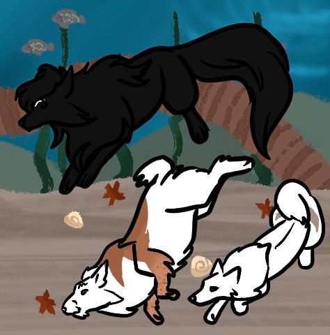 Alpha Fish Feb 2 by saphiraly on DeviantArt