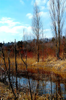 And the landscape of merry and desperate drought