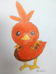 Torchic