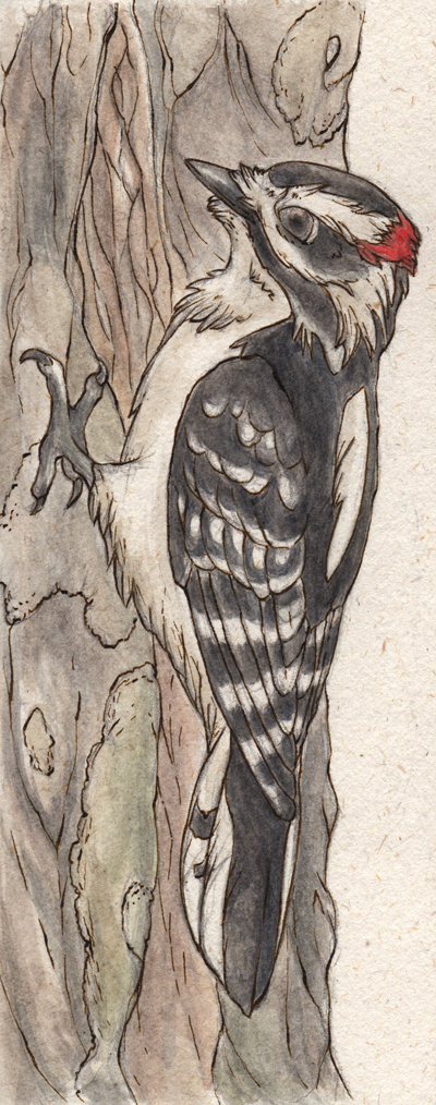 Downy Woodpecker Birdmark