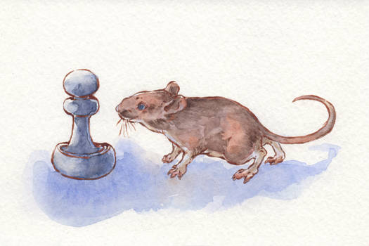 Mouse and Pawn