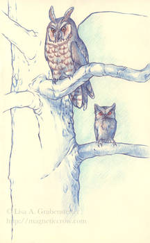 Two Owls