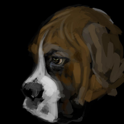 Deviantart Boxer Dog Boxer by JackShannon on DeviantArt