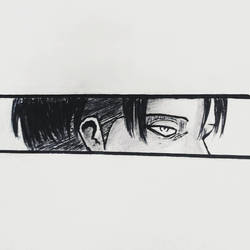 Captain Levi