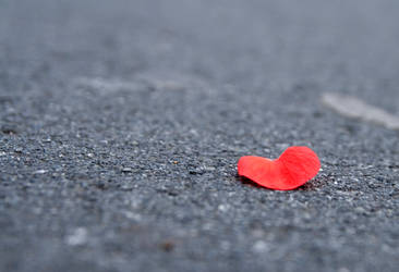 A Lonely Heart