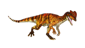 Dilophosaurus Novel Jurassic Park