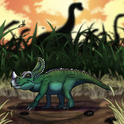 Brachyceratops