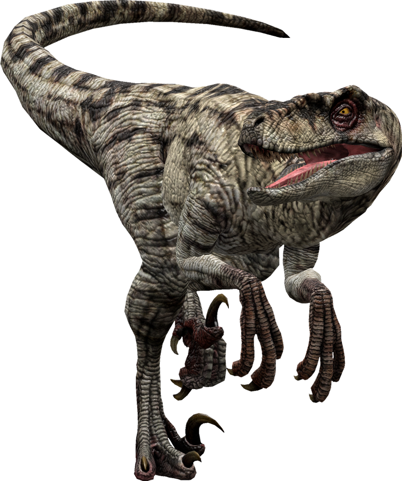JP3 Velociraptor Female 1 by PachyRhinoSkull on DeviantArt