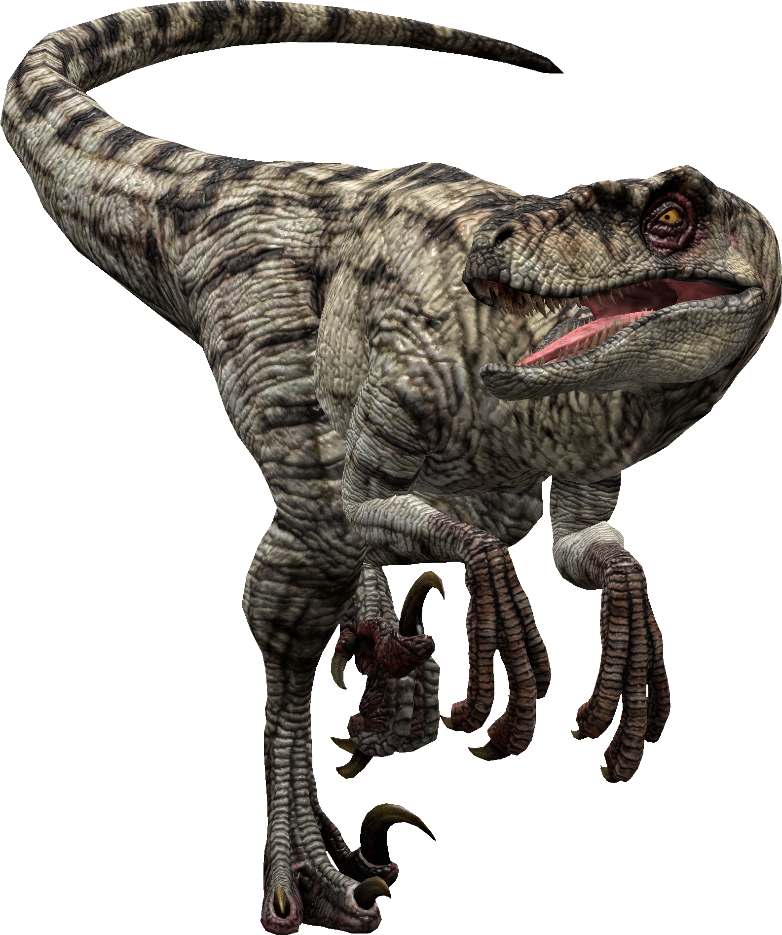 JP3 Velociraptor Female 1 by PachyRhinoSkull on DeviantArt