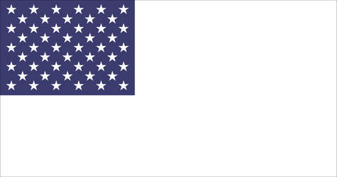 USA peace/solidarity flag