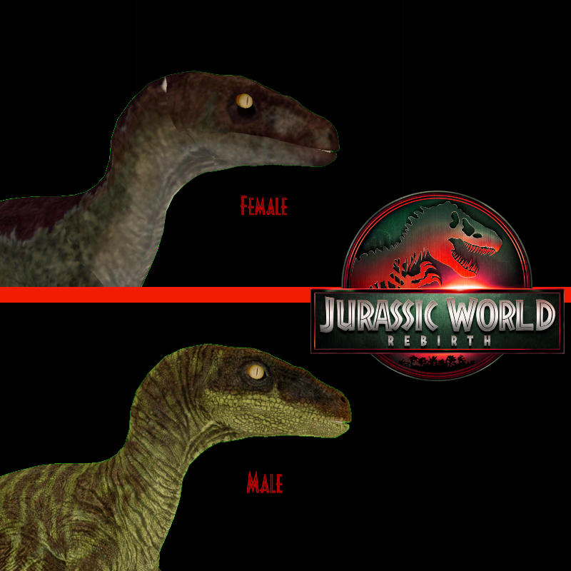 New Raptors in Rebirth! :) by 0LeoZZ0 on DeviantArt