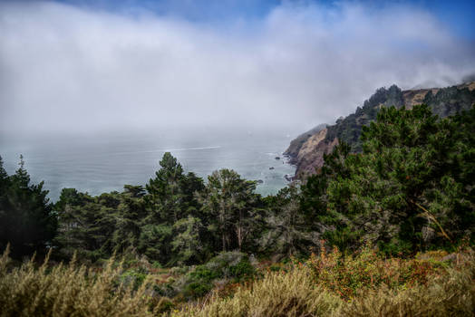 Kirby Cove - Marin Headlands