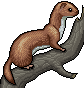 Weasel