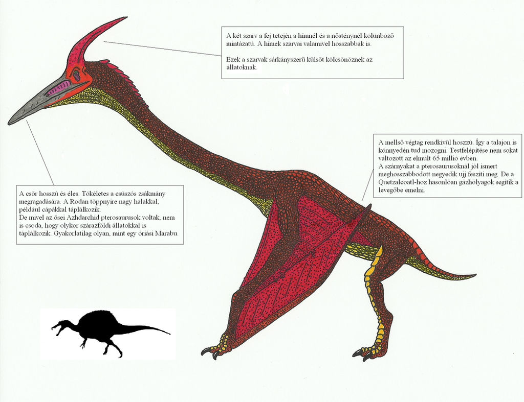 Rodan by titanlizard on DeviantArt