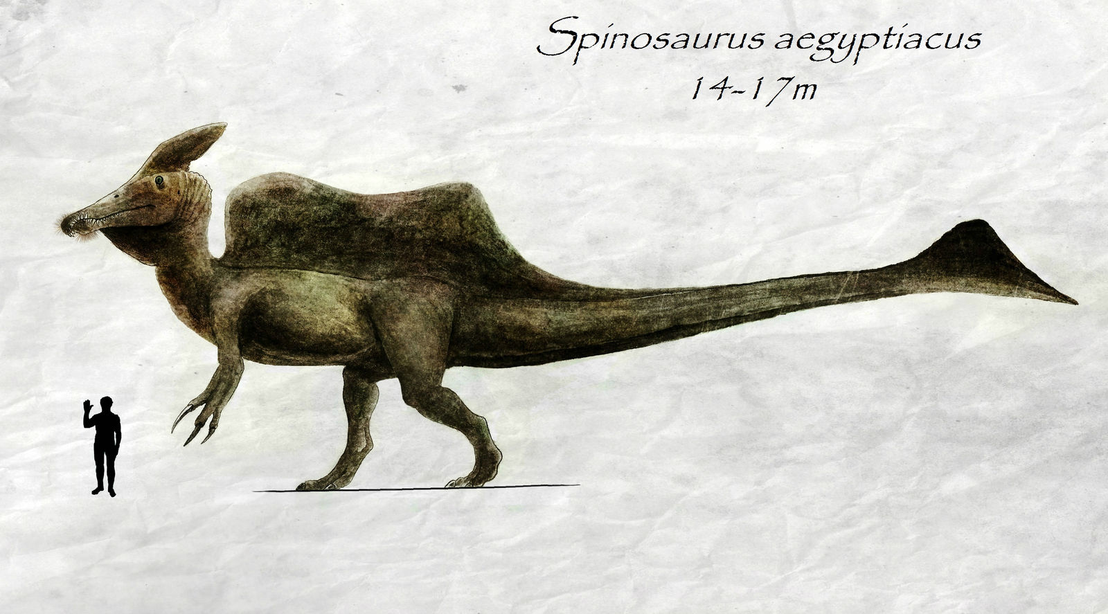 Spinosaurus aegyptiacus