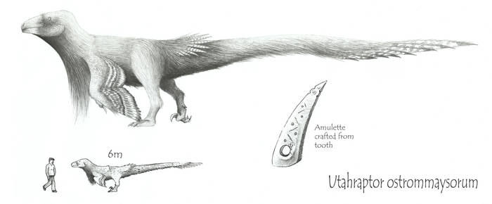Utahraptor ostrommaysorum