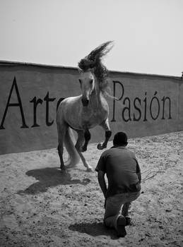 Arte y Pasion