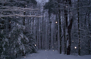 Glowing Snow Flakes