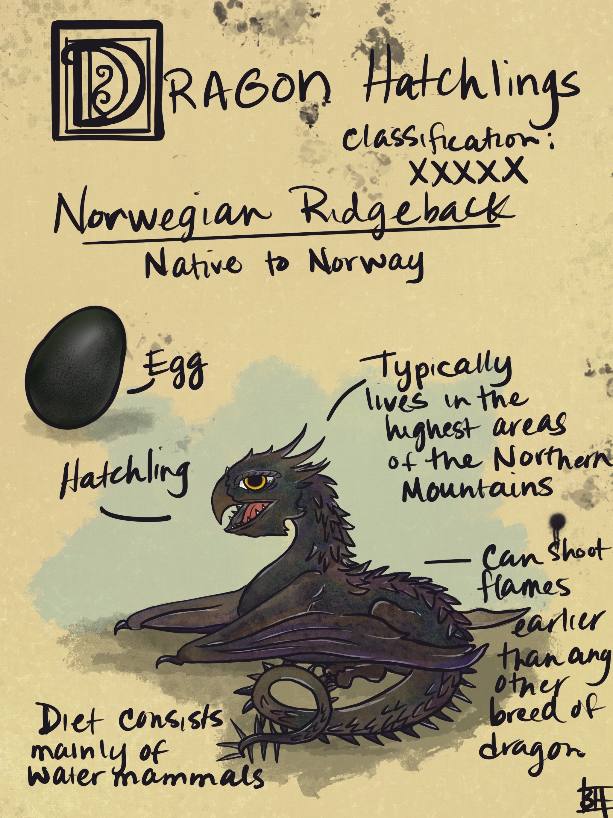 Norwegian Ridgeback In Flight Norwegian Ridgeback by AwarenessCritters on DeviantArt