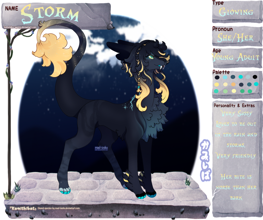 Storm Reference by Kiffels on DeviantArt